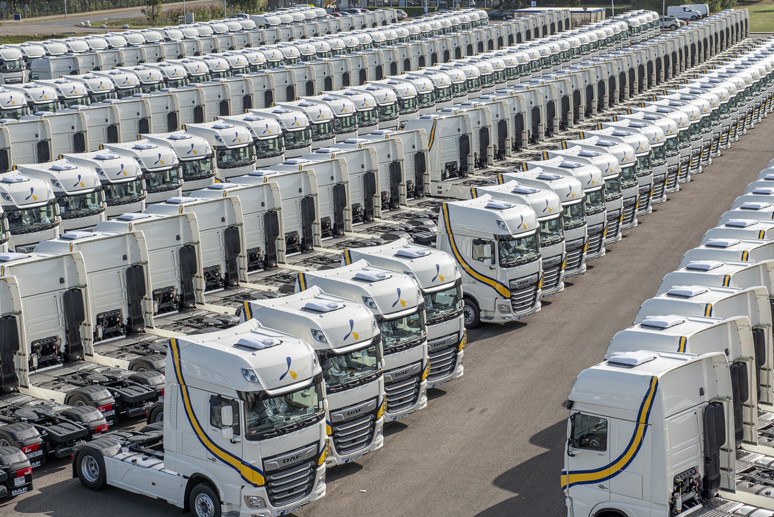 1,300 DAF XF 480 Super Space Cabs for Primafrio Group